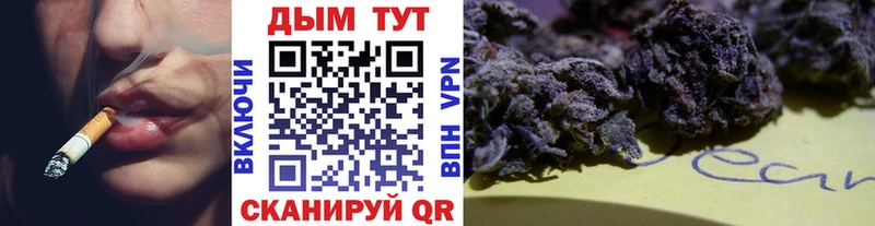 Где купить наркотики Протвино A-PVP Галлюциногенные грибы Cocaine Конопля АМФЕТАМИН