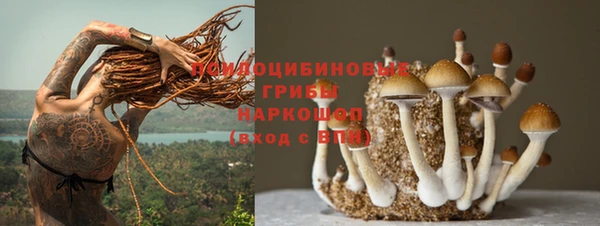 скорость Заводоуковск