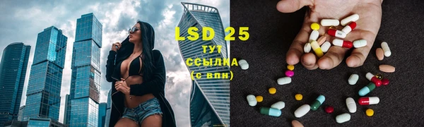 крисы Зеленодольск