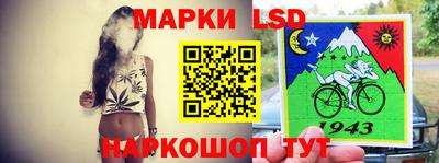 гашик Донской