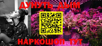 Альфа ПВП Дубна