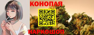 Альфа ПВП Дубна
