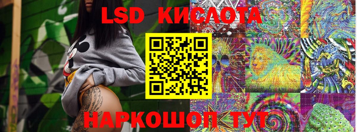 МЕФ Протвино