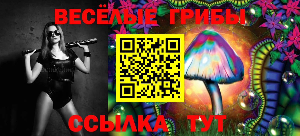 Псилоцибиновые грибы прущие грибы  где продают наркотики  Протвино  Вход с VPN 