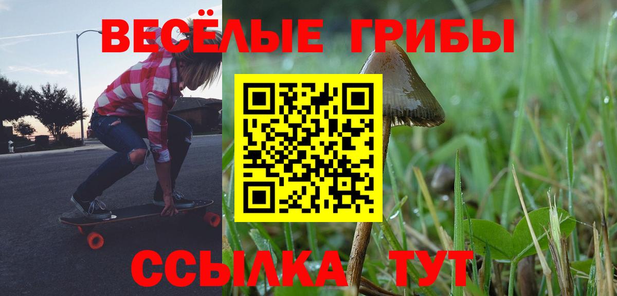 Галлюциногенные грибы ЛСД Протвино