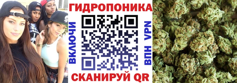 OMG ссылка  купить наркотики цена  Протвино  мориарти формула  МАРИХУАНА THC 21% 